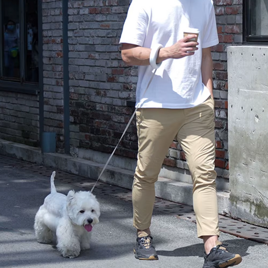Retractable Dog Leash