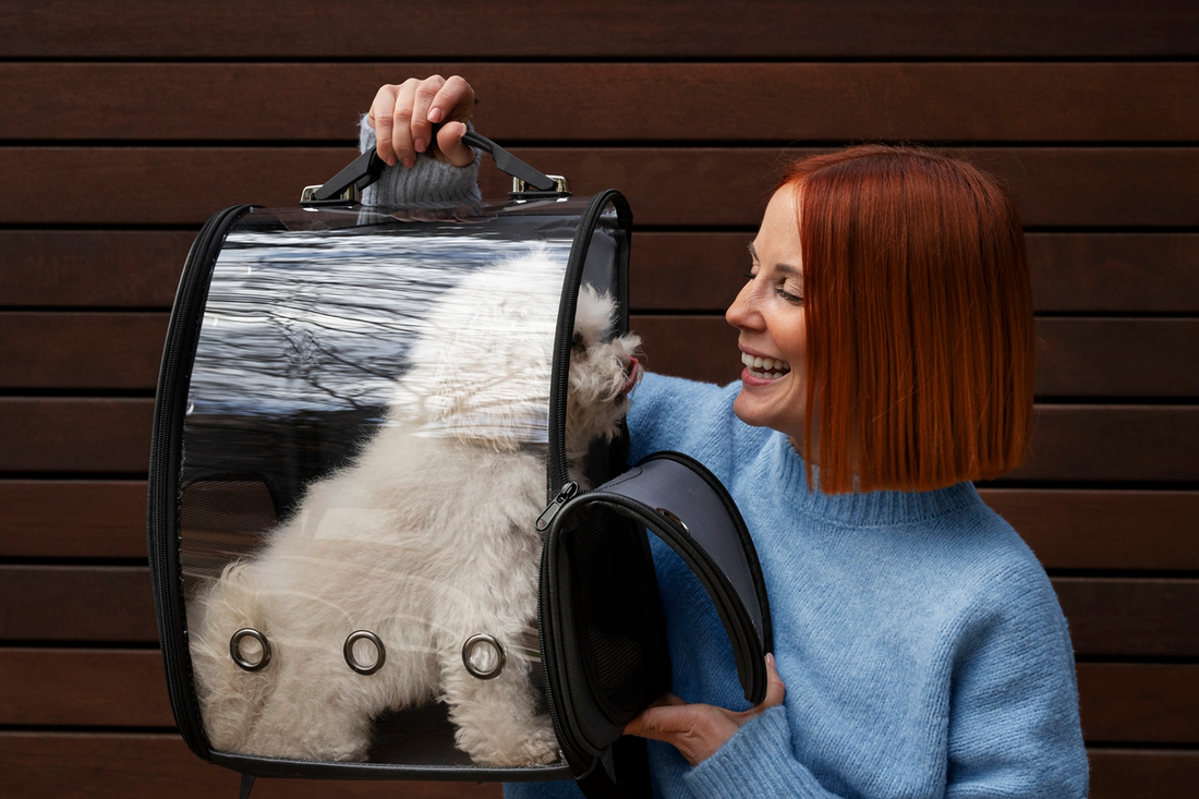 How to Choose the Right Pet Carrier: What Every Dog Owner Should Know