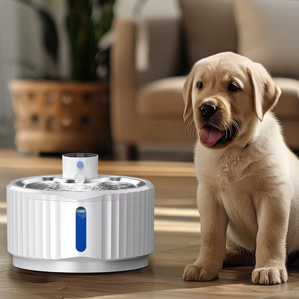 Smart Feeding Solutions for Modern Pet Owners