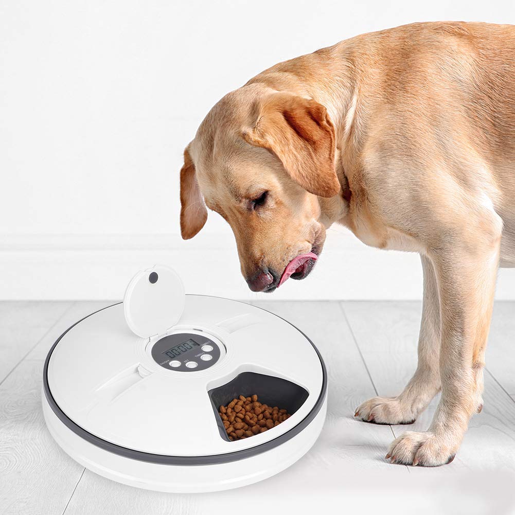 Round Automatic Feeder