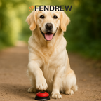 Pet Communication Button