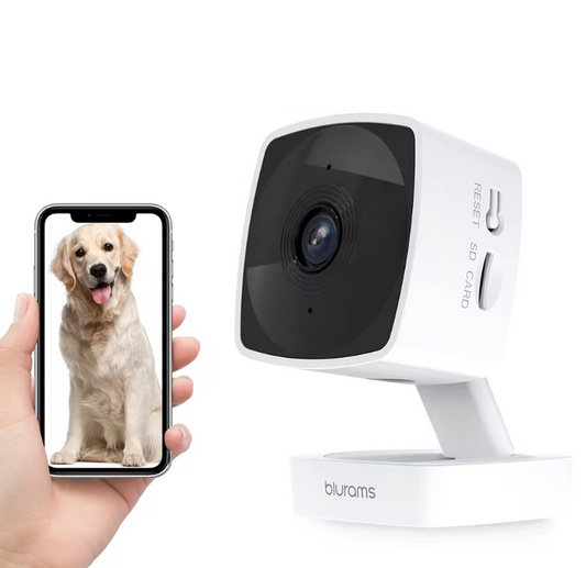 Pet Dog Security Camera