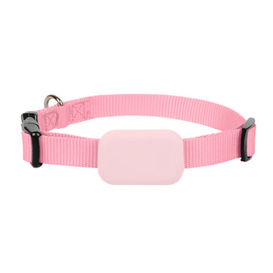 Real-Time Tracking Collar