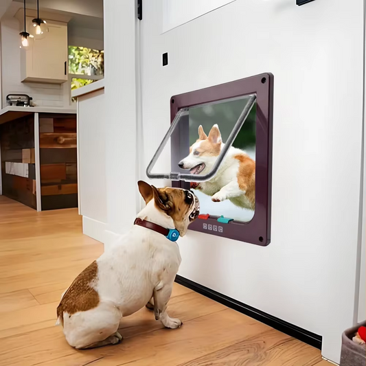 Smart Pet Door