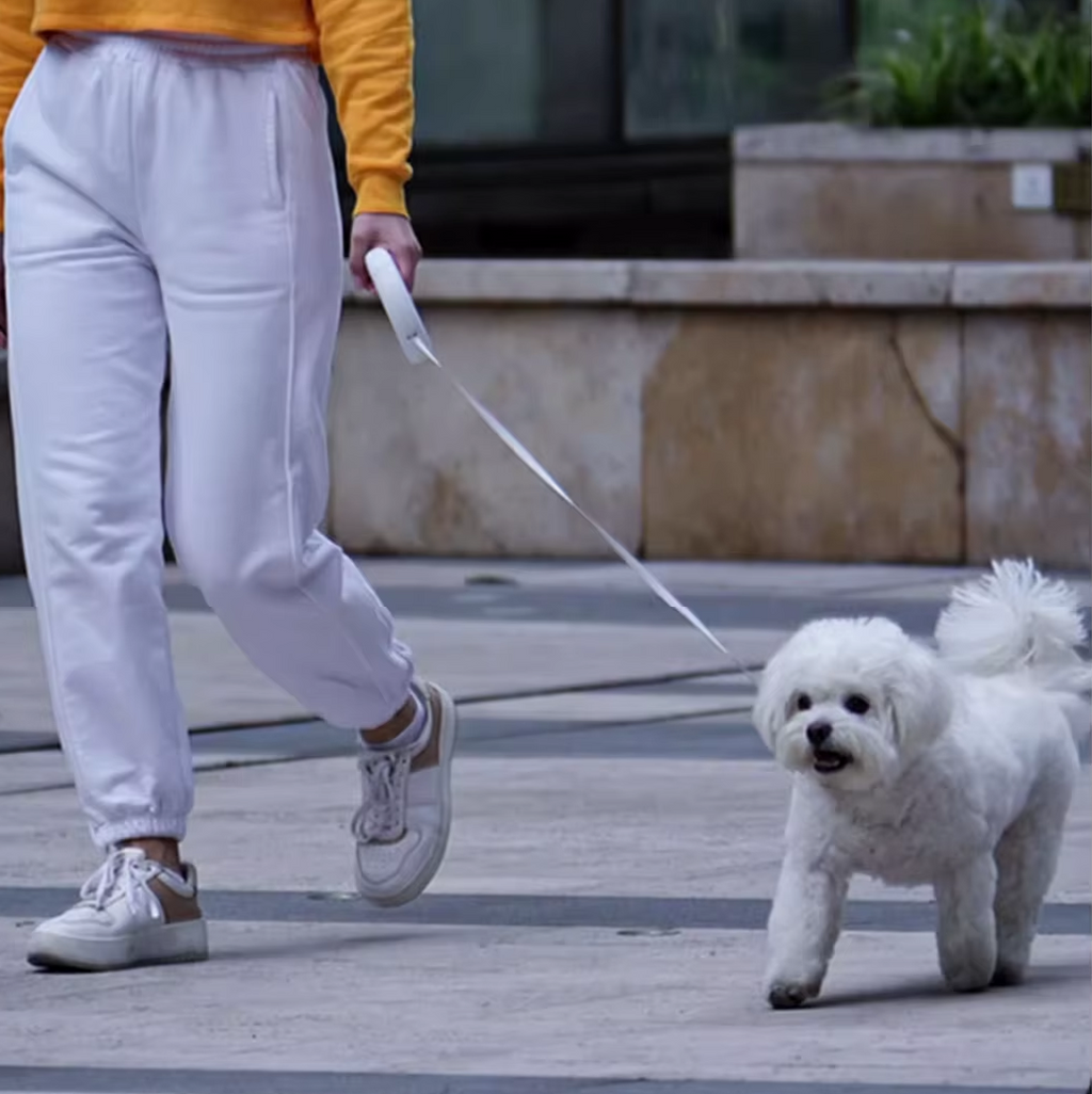 Retractable Dog Leash